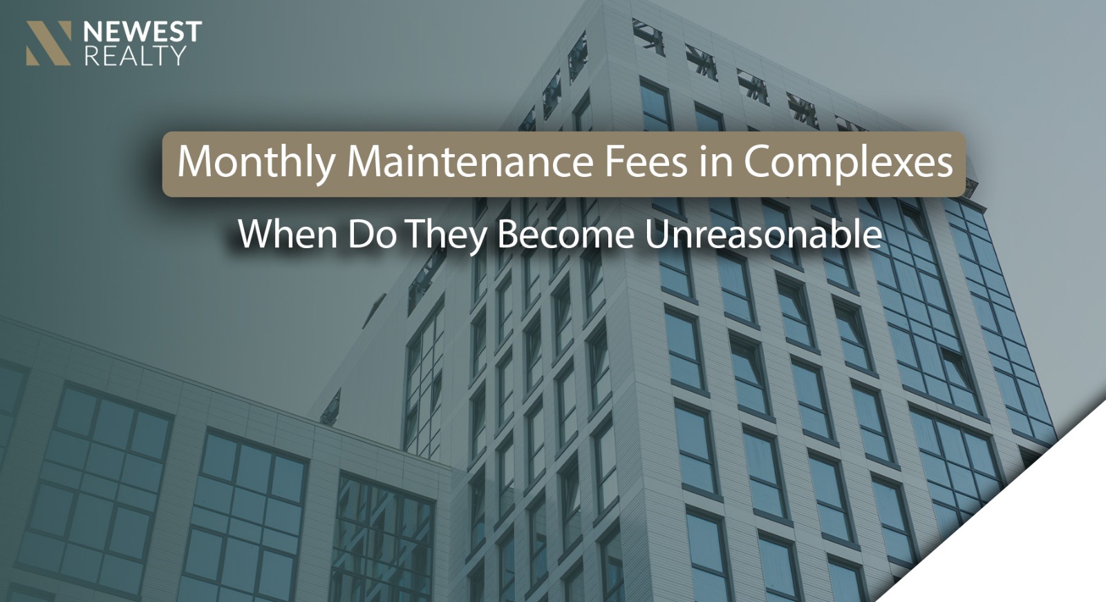 What Are Monthly Maintenance Fees in Residential and Commercial Complexes  When Do They Become Unreasonable or Even Deceptive