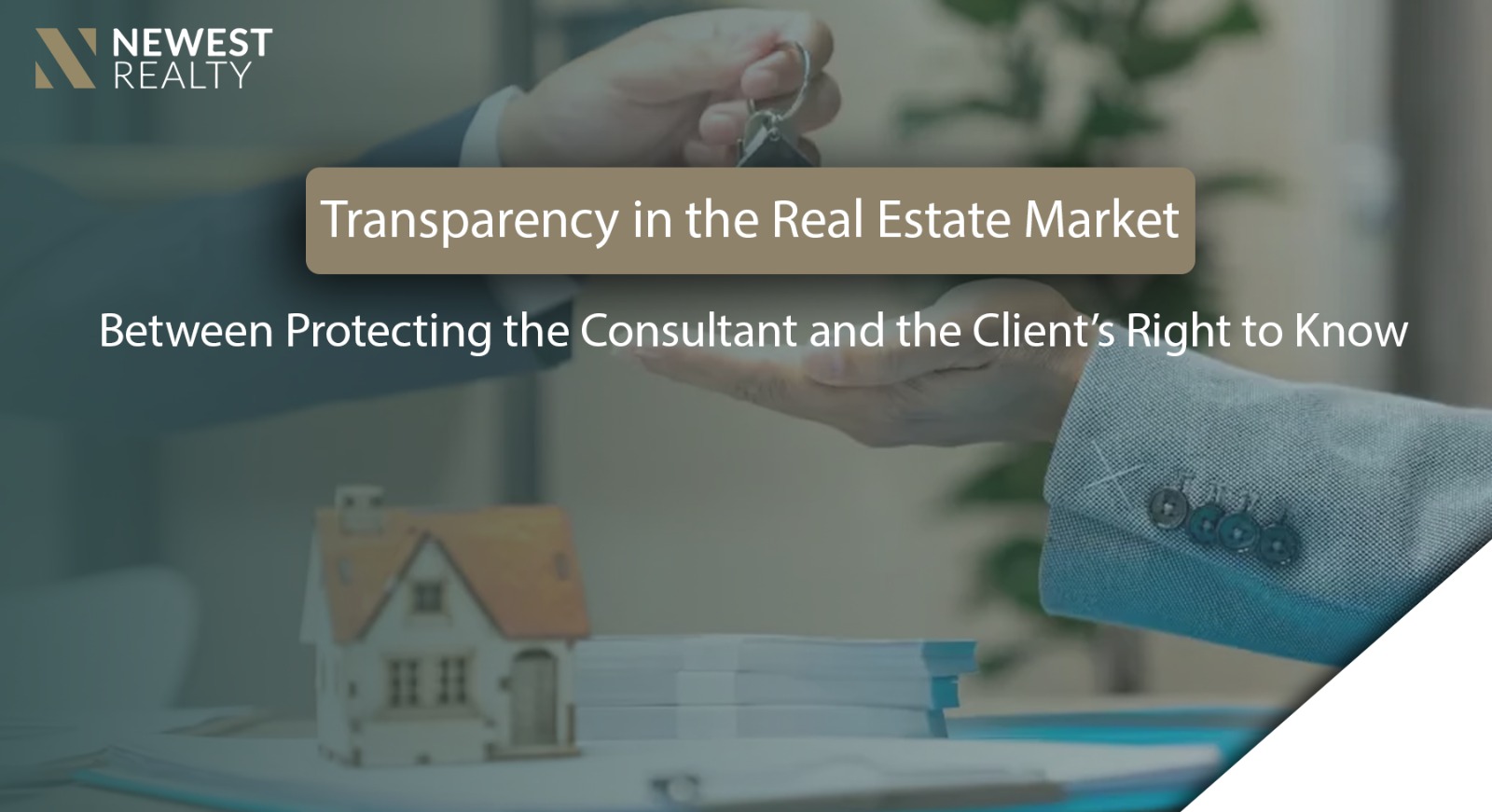 Transparency in the Real Estate Market: Balancing Client Rights and Consultant Protection}