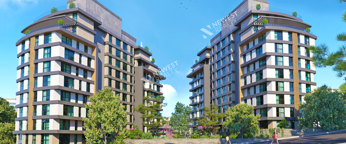 Dora Vadi Project