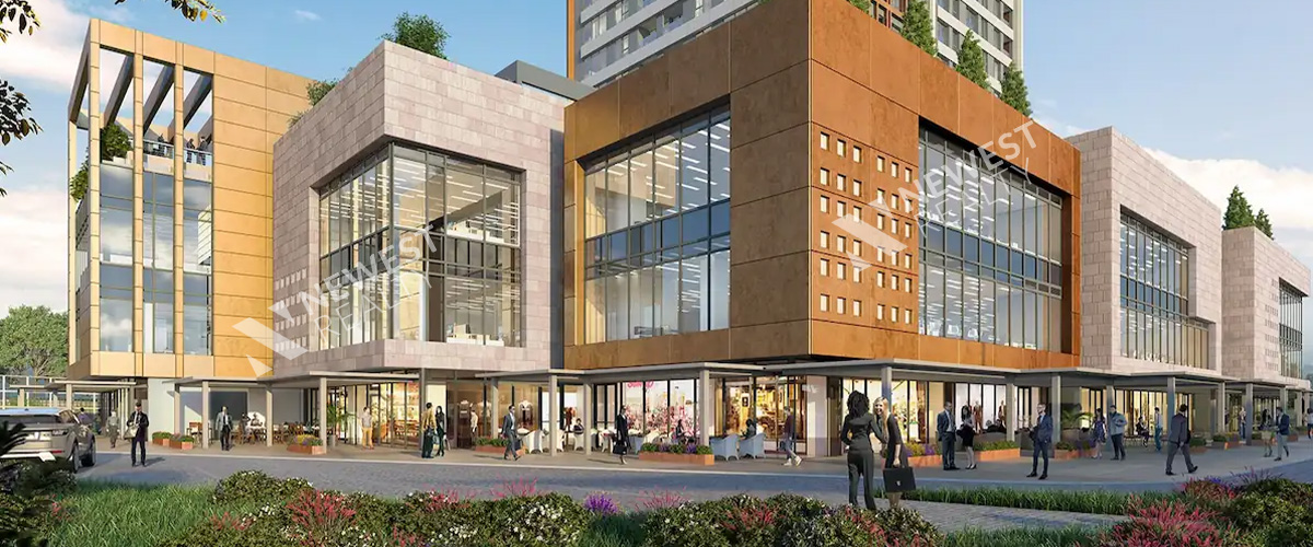 Mesa Koz Project (مشروع ميسا كوز)