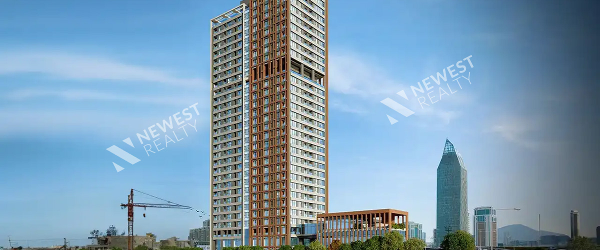 Mesa Koz Project (مشروع ميسا كوز)