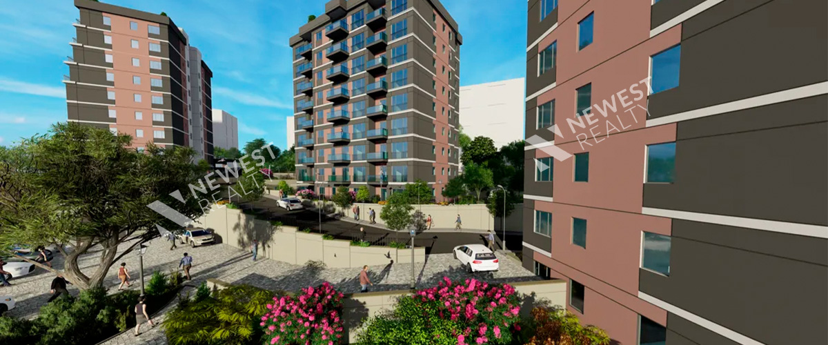 Vadi Panorama Project