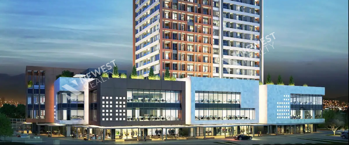Mesa Koz Project (مشروع ميسا كوز)