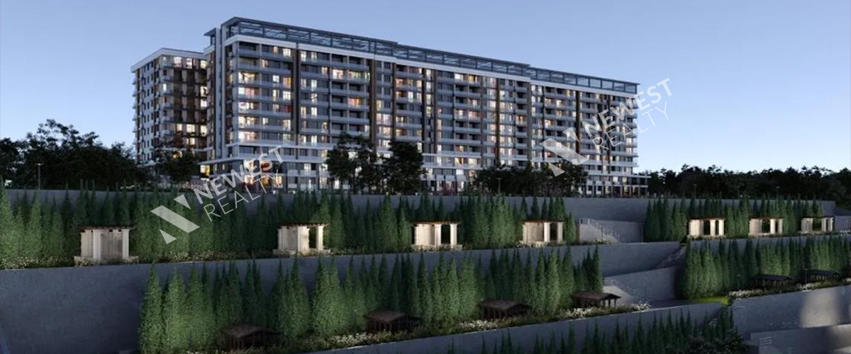 Empire Paradise Project(مشروع ايمبر بارادايس)