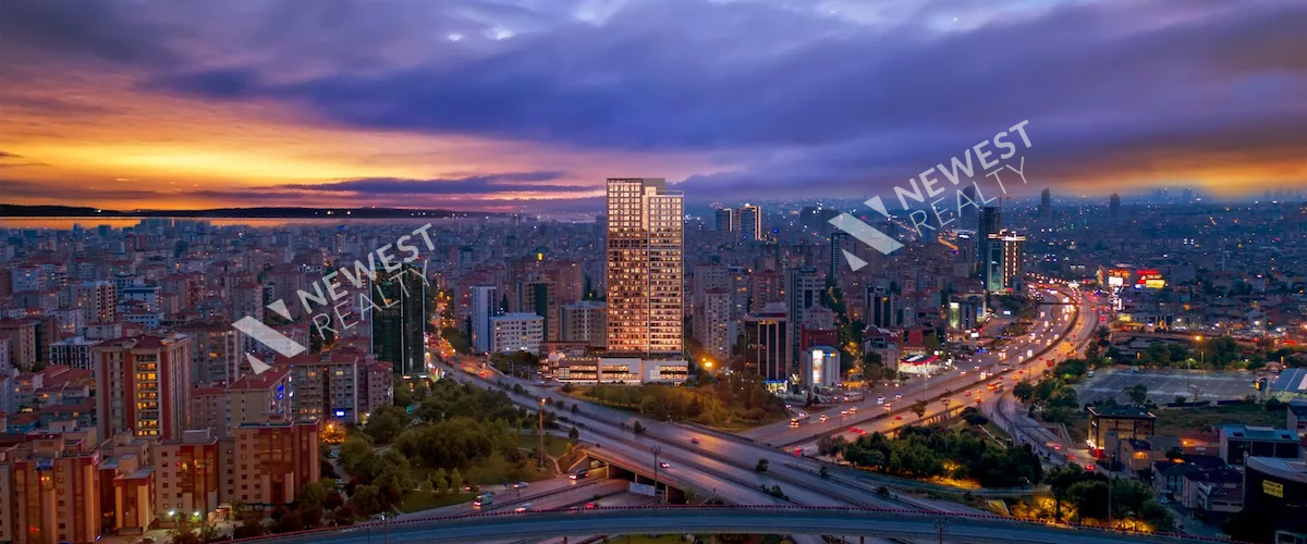 Mesa Koz Project (مشروع ميسا كوز)