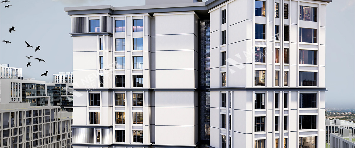 Zeytinkule Project ( مشروع زيتنكولي )